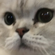 yibentq