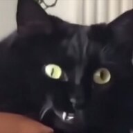 澪氿