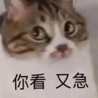 周口第一深情