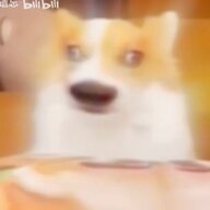 在培训