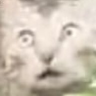 泷洺