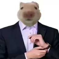小炫