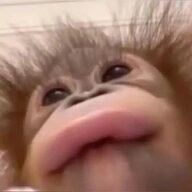 aqi_qwq