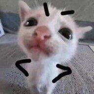 卡卡西米露