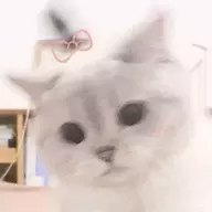 落雪