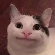 笑猫lol