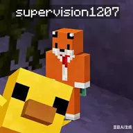 supervision