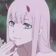 花雨