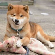 nian想
