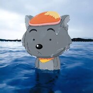 太狼狈