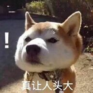 哈哈哈12385