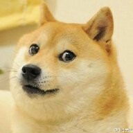 NeedDog