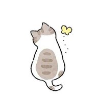 9527柒鸢