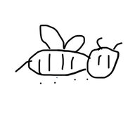 Codetea