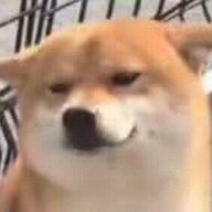 鸟嘌呤