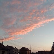 银月白