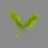 fgtye
