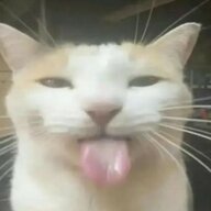 yusakiiii