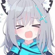 上车请故意