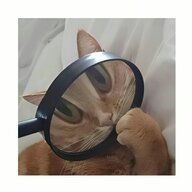 于飞