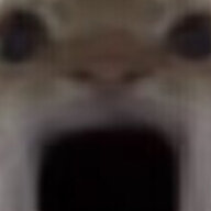 ssssdfewg