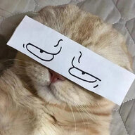 啊喂