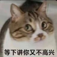 qweqwe11