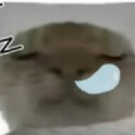 罐子长