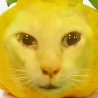 DSYNB