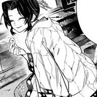 q1213q