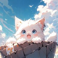 skyler