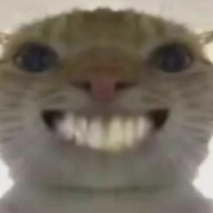 小安鱼