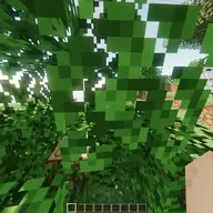 Uniw