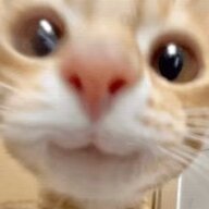 Nianyu_qwq