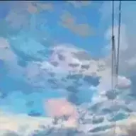 椮与
