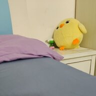 方可述事君