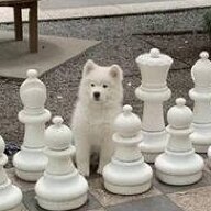 闻蝉