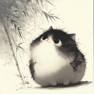 十三三三三啊
