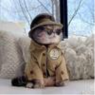 Sebastians_