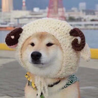 PD_PenguinDog