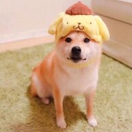 小林不要慌