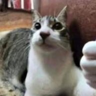 2890682937