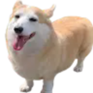 avaned