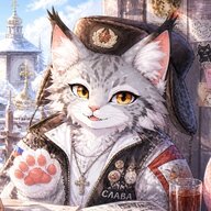VladimirDSR