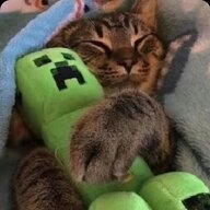 Knowmitz