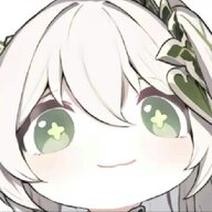 防风风风