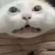 大事发生ing