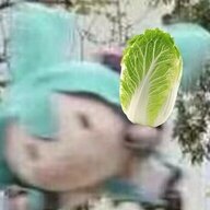 悠闲的白菜V