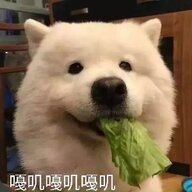 大数据利空打击