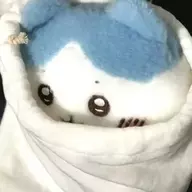 TianQi